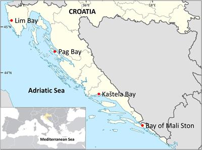 Nitrogen Isotope Sclerochronology—Insights Into Coastal Environmental Conditions and Pinna nobilis Ecology